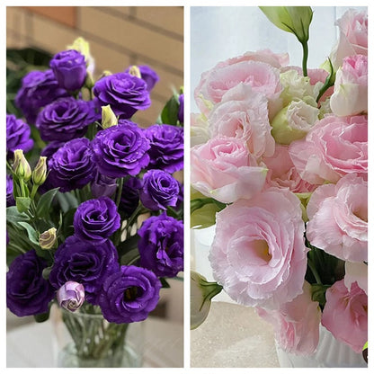 🔥Hot Sale 50% OFF🌱Hardy Perennial Lisianthus Seeds RHS Certified for British Garden Beds Beginner Friendly