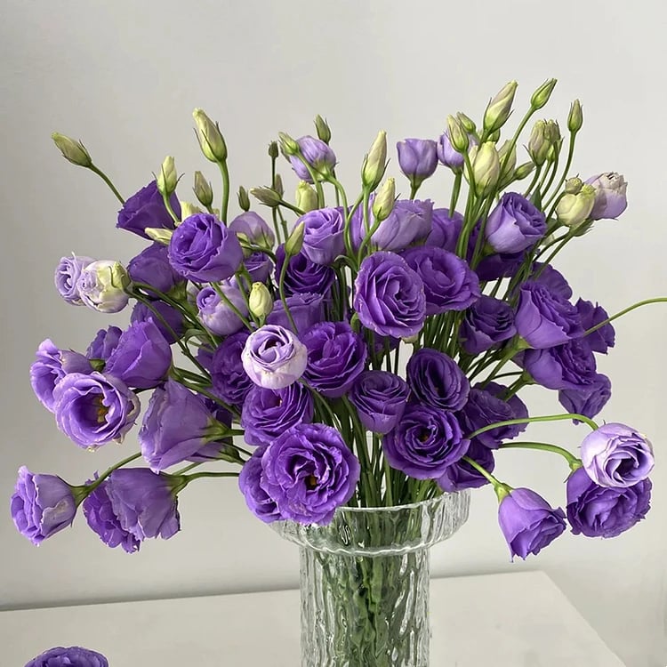 🔥Hot Sale 50% OFF🌱Hardy Perennial Lisianthus Seeds RHS Certified for British Garden Beds Beginner Friendly