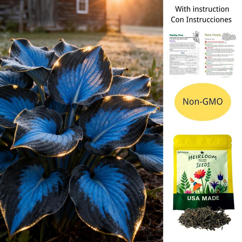 🔥Last day clearance🔥Premium Rare Hosta Seeds🌌Shade-Tolerant Plant