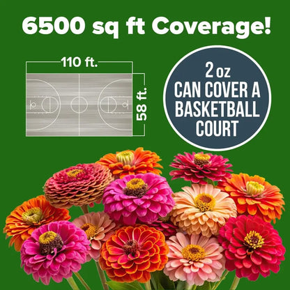 🔥HOT SALE 49% OFF-Zinnia Seeds - Pure Seeds - No Filler - USA Heirloom Flower Seeds