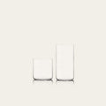 Glassware Set Pro
