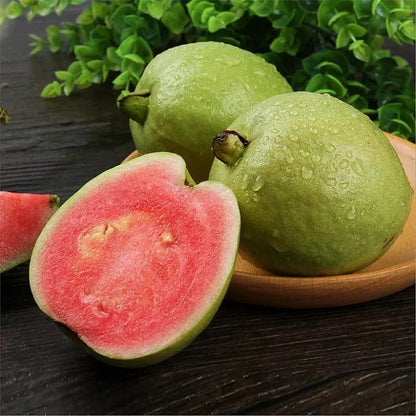 🍈Tropical Guava Growing Kit for Pots & Gardens
