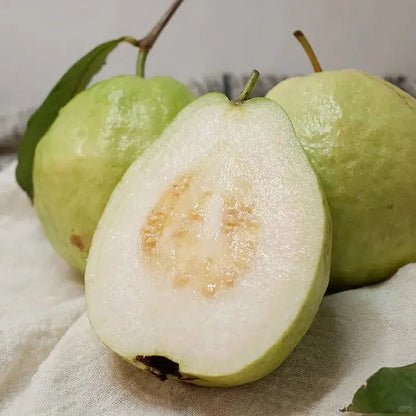 🍈Tropical Guava Growing Kit for Pots & Gardens