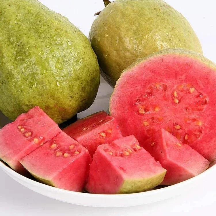 🍈Tropical Guava Growing Kit for Pots & Gardens