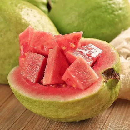 🍈Tropical Guava Growing Kit for Pots & Gardens