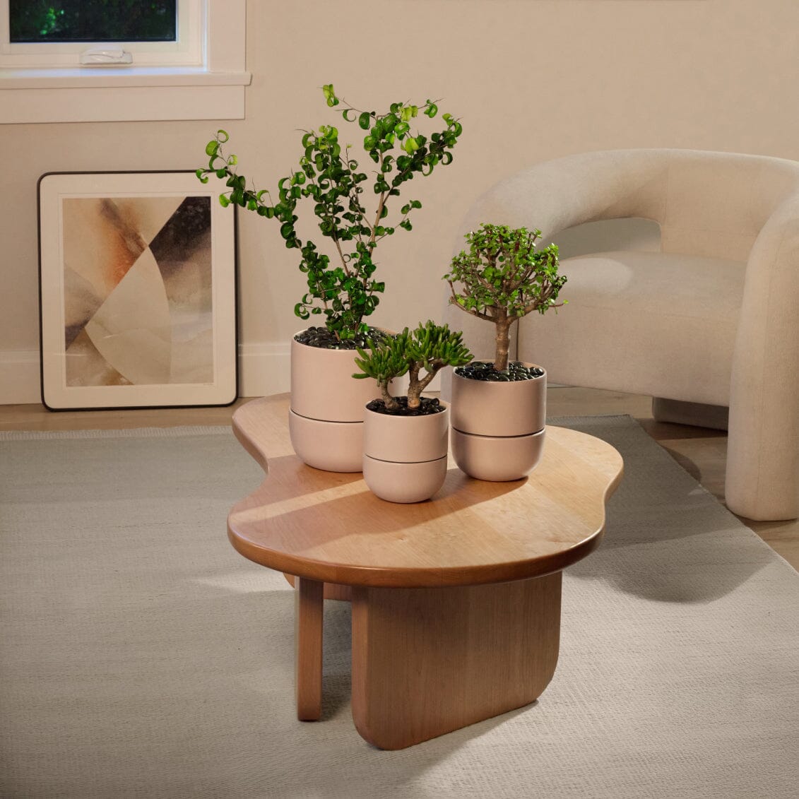 Large Planter