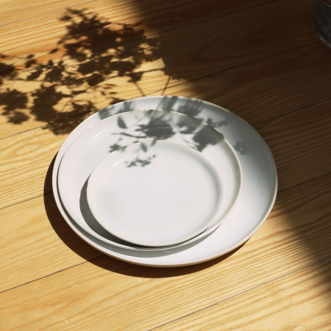 Lunch Plates