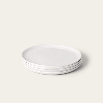Lunch Plates