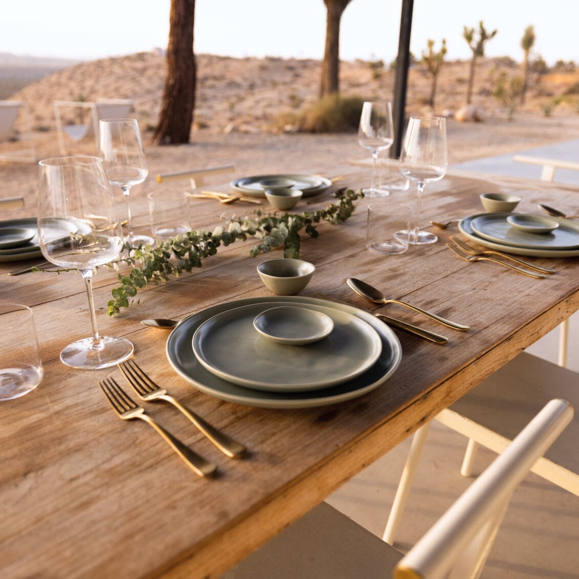 Dinner Plates