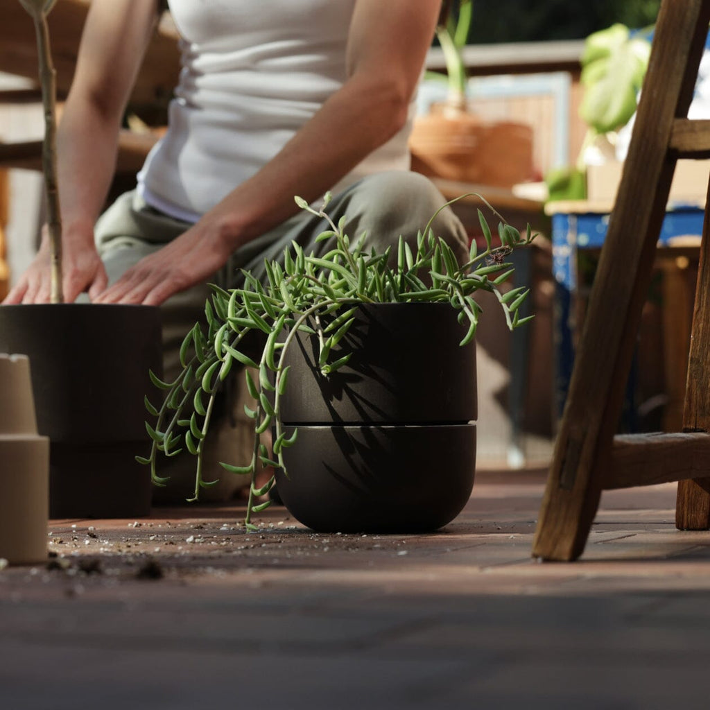 Large Planter